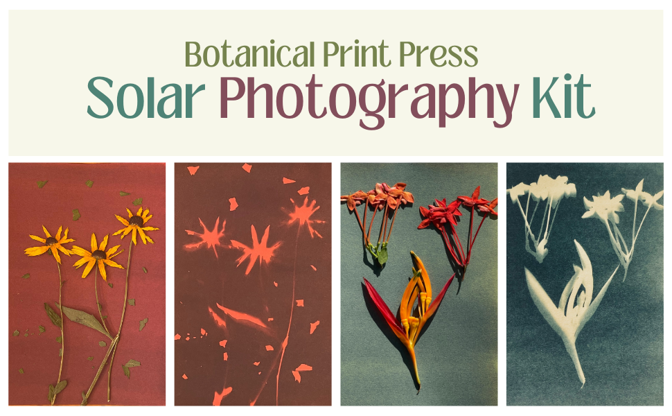 Cyanotype Collection